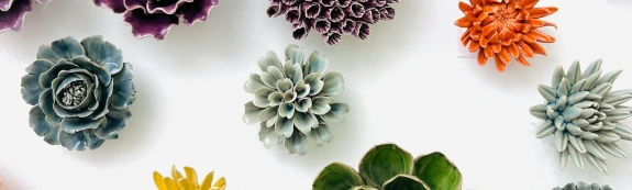 Colorful Plants on White Background