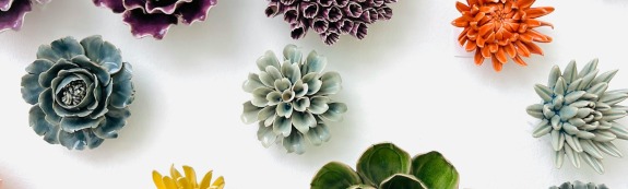 Colorful Plants on White Background